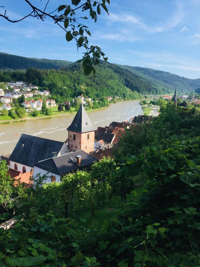Neckarblick,Natur, Altstadt Хиршхорн Экстерьер фото