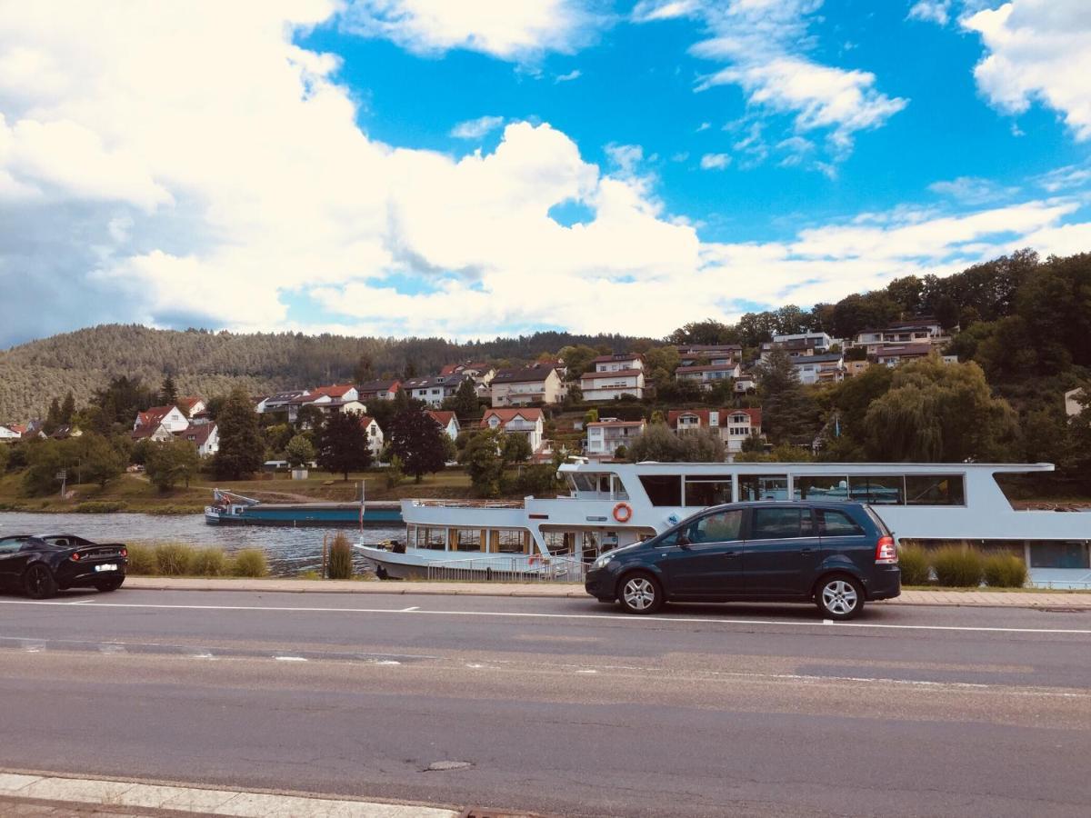 Neckarblick,Natur, Altstadt Хиршхорн Экстерьер фото