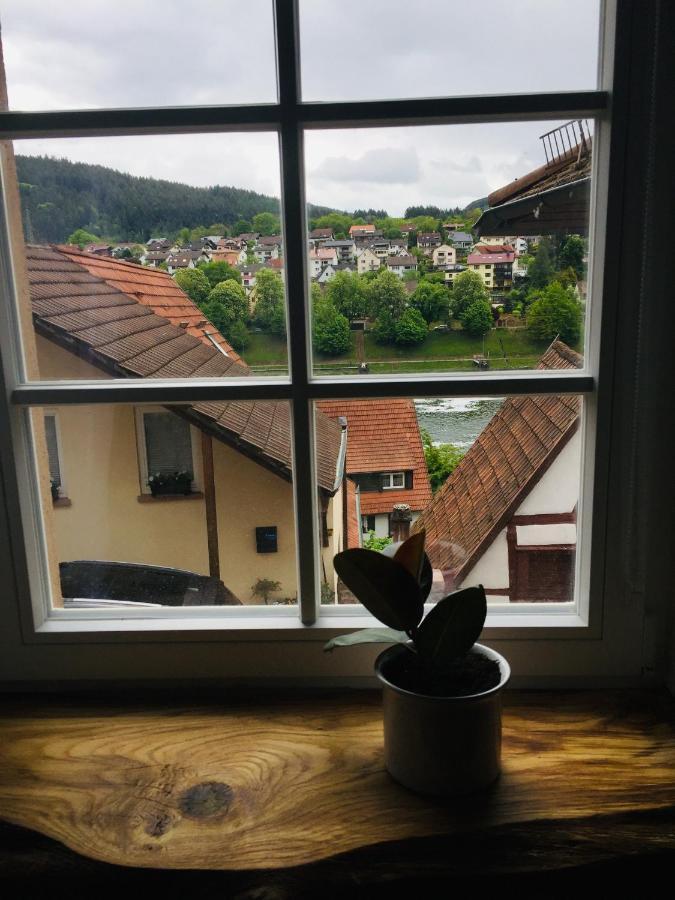 Neckarblick,Natur, Altstadt Хиршхорн Экстерьер фото