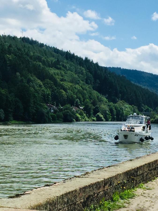 Neckarblick,Natur, Altstadt Хиршхорн Экстерьер фото
