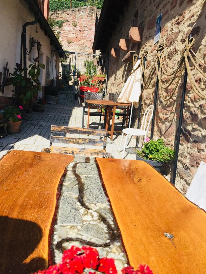 Neckarblick,Natur, Altstadt Хиршхорн Экстерьер фото