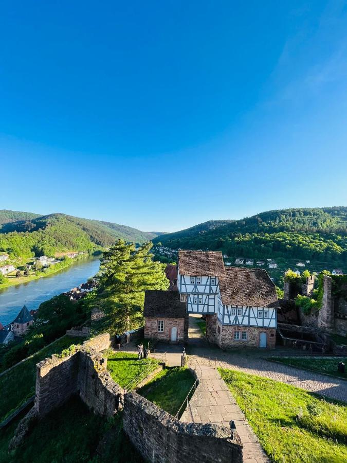Neckarblick,Natur, Altstadt Хиршхорн Экстерьер фото