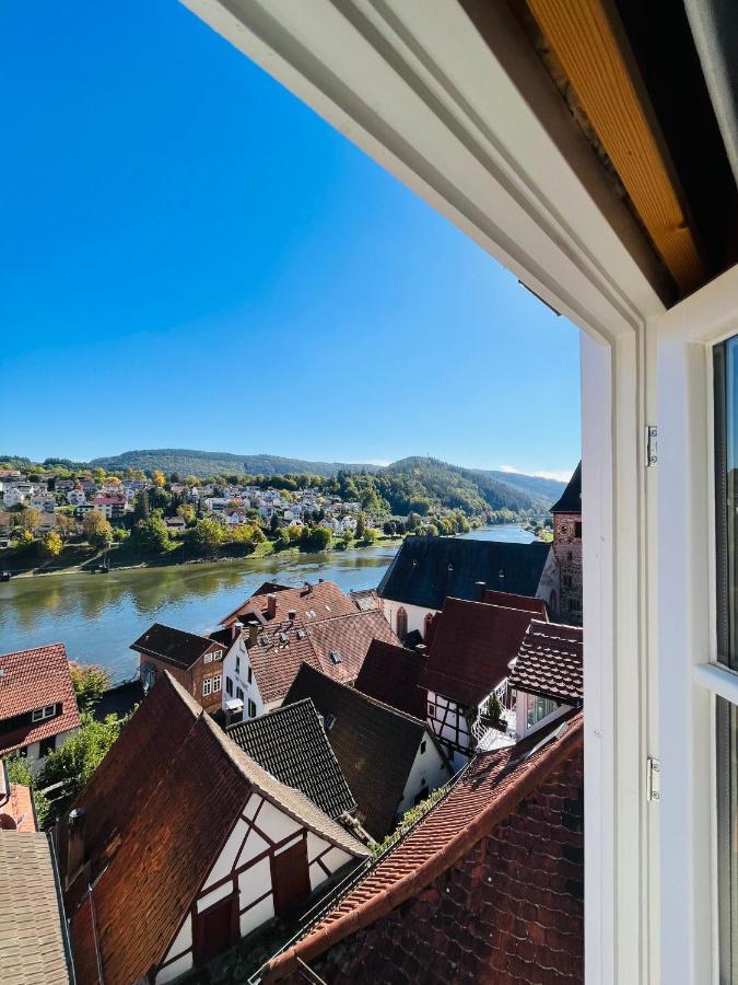 Neckarblick,Natur, Altstadt Хиршхорн Экстерьер фото