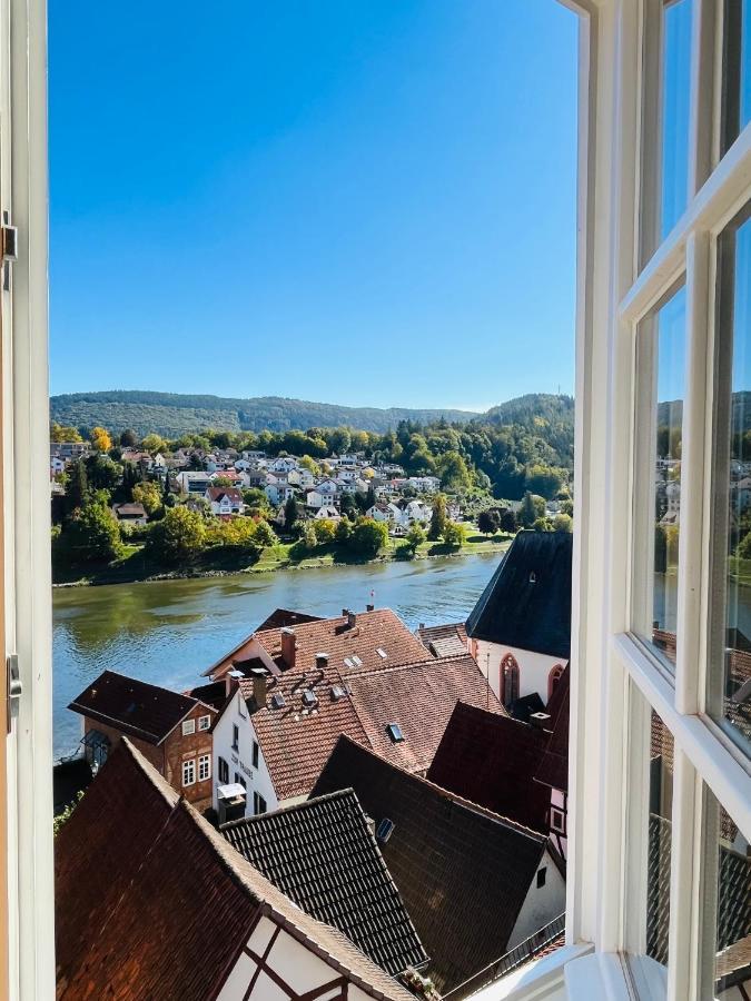 Neckarblick,Natur, Altstadt Хиршхорн Экстерьер фото