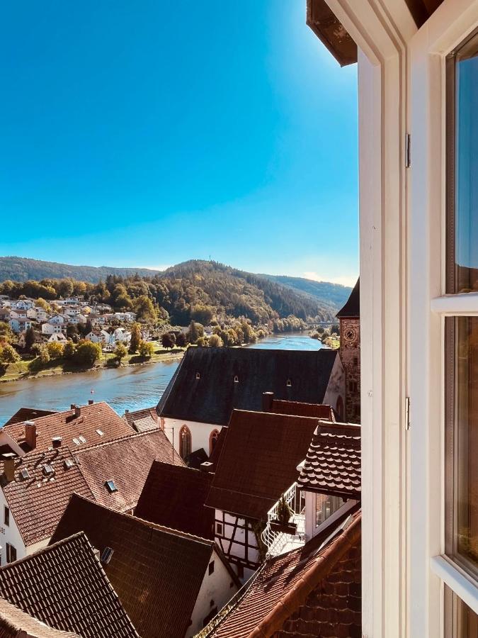 Neckarblick,Natur, Altstadt Хиршхорн Экстерьер фото