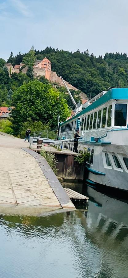 Neckarblick,Natur, Altstadt Хиршхорн Экстерьер фото