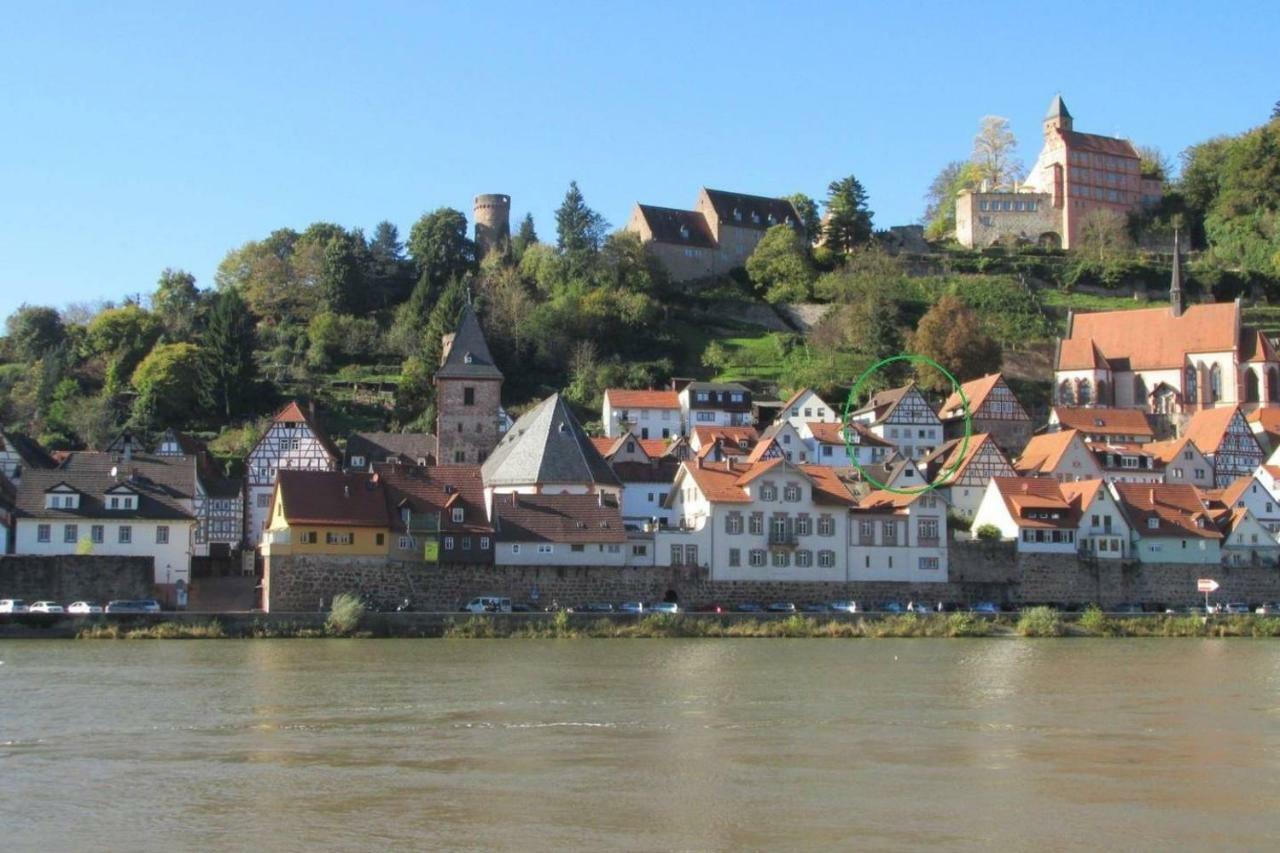Neckarblick,Natur, Altstadt Хиршхорн Экстерьер фото