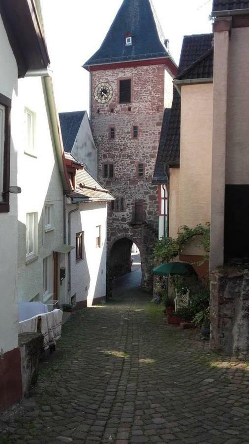 Neckarblick,Natur, Altstadt Хиршхорн Экстерьер фото
