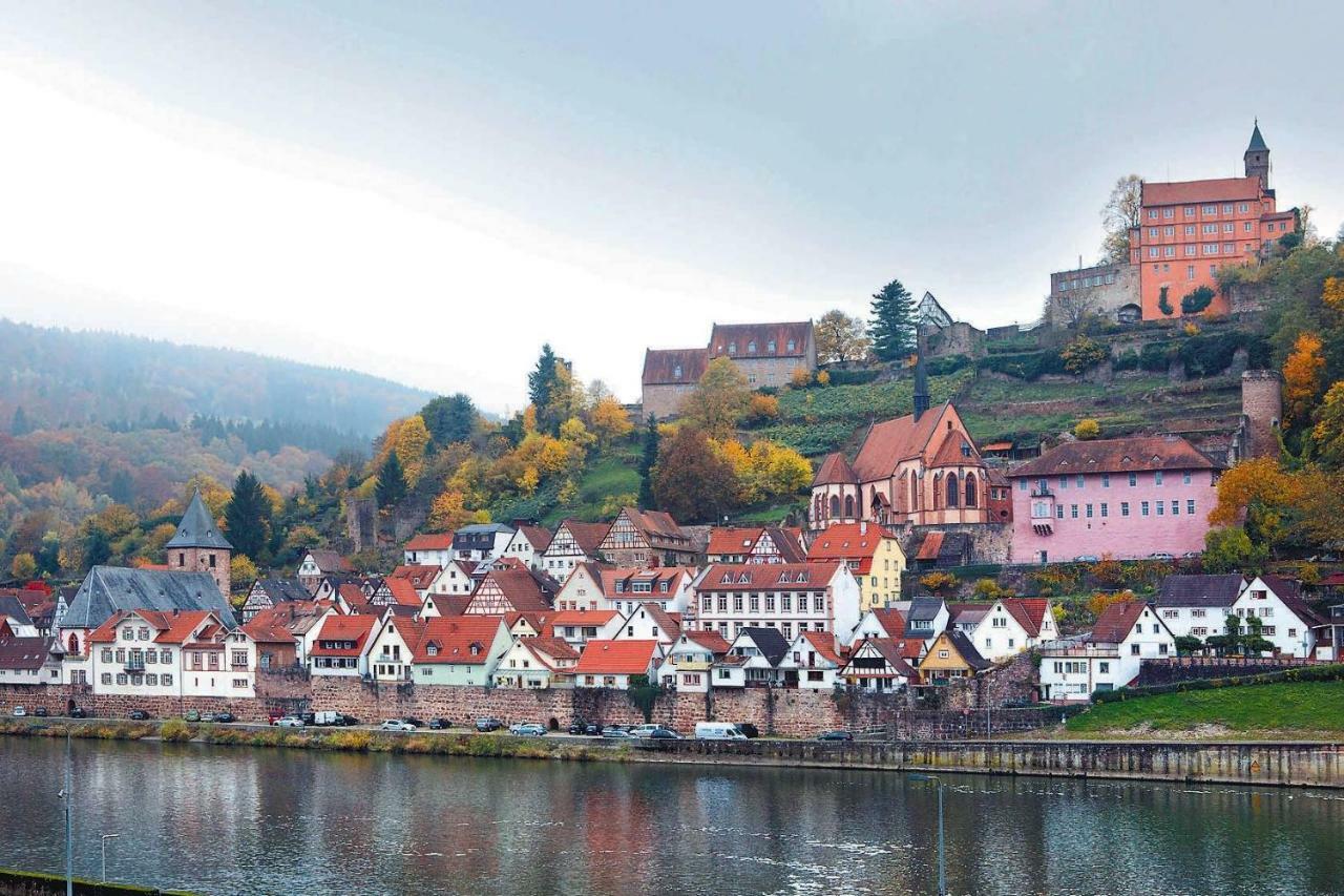 Neckarblick,Natur, Altstadt Хиршхорн Экстерьер фото