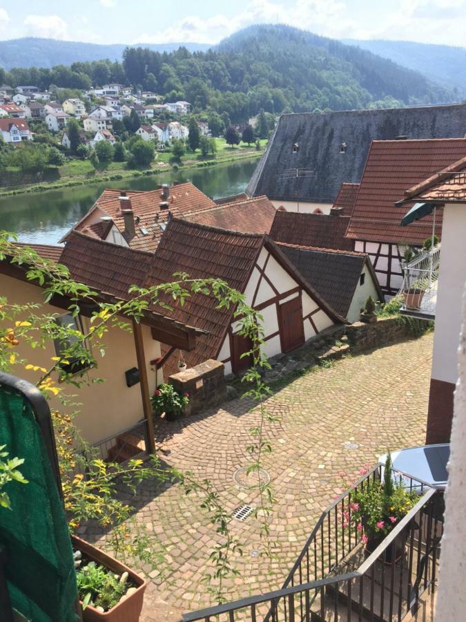 Neckarblick,Natur, Altstadt Хиршхорн Экстерьер фото