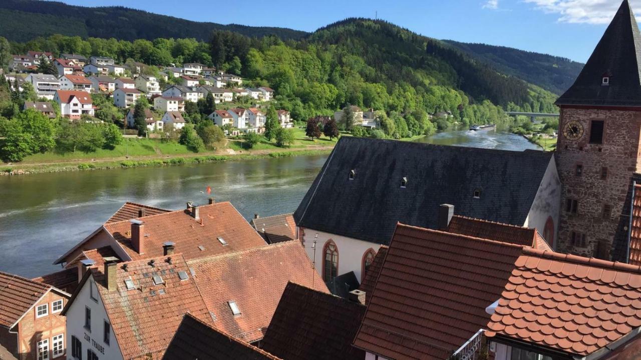 Neckarblick,Natur, Altstadt Хиршхорн Экстерьер фото